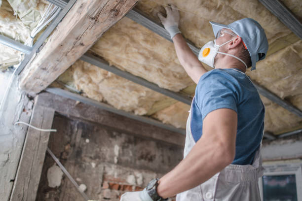 Types of Insulation We Offer in Roselawn, IN