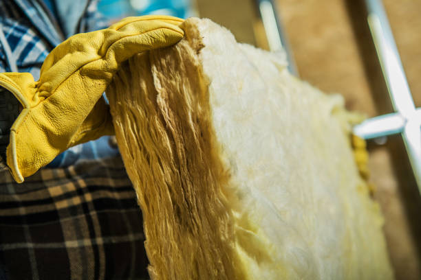 Best Eco-Friendly Insulation in Roselawn, IN