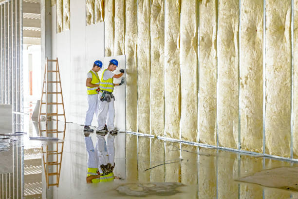 Best Spray Foam Insulation in Roselawn, IN